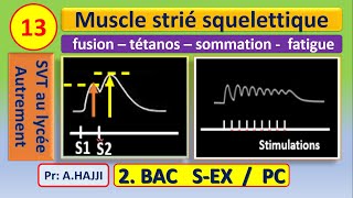 Muscle strié squelettique fusion des secousses  sommation  tétanos parfait et imparfait  fatigue [upl. by Akenna834]