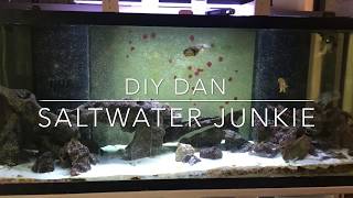 UPDATE ON DENITRATOR BUILDS amp UPDATE ON HUGE ALGAE SCRUBBER BUILD AS WELL [upl. by Kendell463]