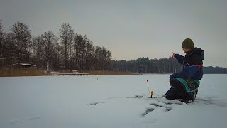 Daug kibimų Poledinė žūklė balansyrais ir vėliavėlėmis [upl. by Twedy]