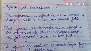 Agarose gel electrophoresis easy and effective [upl. by Catton868]