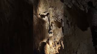 Carlsbad caverns vanlifetravelcarlsbad [upl. by Schuster221]