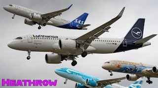 Heathrow Airport Plane Spotting  Runway 27L Arrivals  Myrtle Avenue [upl. by Kappel137]