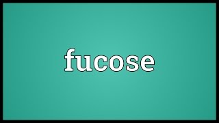 Fucose Meaning [upl. by Dorreg]