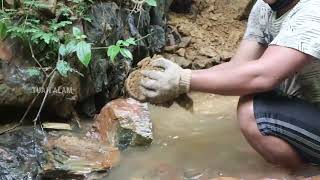 5 CRAZY VIDEOS OF GOLD DISCOVERY GOLD FINDING GOLD RUSH TRADITIONAL GOLD MINING [upl. by Ainitsirc]