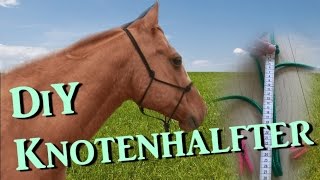 DiY Knotenhalfter ganz einfach selber machen  mit Diamantknoten  Tutorial  Serenity Horses [upl. by Orihakat226]