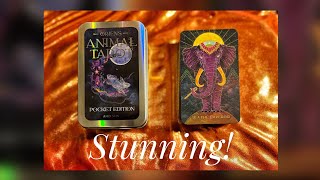 Oriens Animal Tarot Pocket Edition First Impressions [upl. by Suiremed]