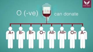 Blood Donation Guide [upl. by Prisca726]