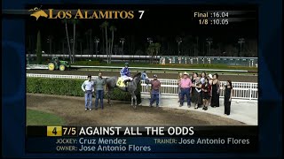 Los Alamitos Replays  Saturday August 10 2024  Race 7 [upl. by Filipe249]