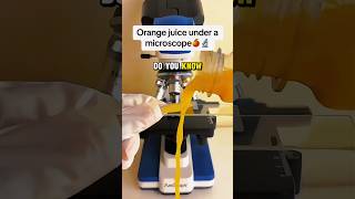 What underorange juice🤯 looked like this 👀🤯 orange shots shorts scienceexperiment [upl. by Retha]