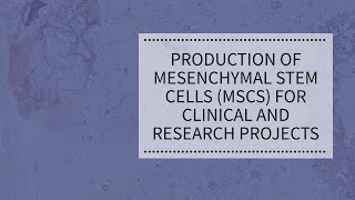 Production of Mesenchymal Stem Cells MSCs for Clinical and Research Projects [upl. by Gintz505]