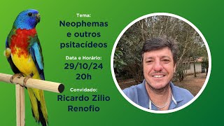 Neophemas e outros psitacídeos com Ricardo Zilio Renofio [upl. by Rempe]