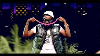 SoundSultan  Natural Something Official Video [upl. by Vida124]