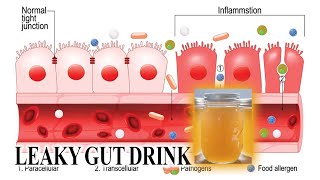 Leaky Gut Drink [upl. by Garlan]