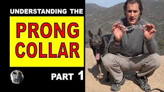 PRONG Collar Explained 1 How to Use a Prong Collar  Robert Cabral  Dog Training Video [upl. by Mcmullan743]