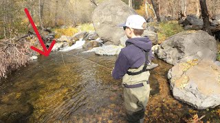 Winter Fly Fishing [upl. by Lundin4]