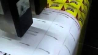 Zanasi Z3000  Printing on paper labels [upl. by Windham]