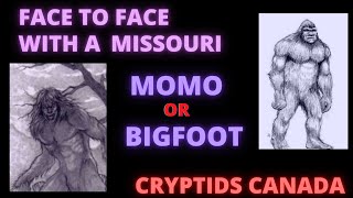 EPISODE 148 FACE TO FACE WITH A MISSOURI MOMO OR BIGFOOT [upl. by Nihsfa]