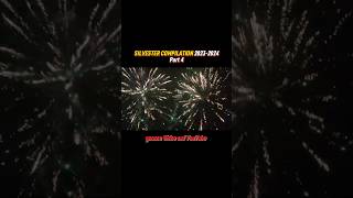 SILVESTER COMPILATION 20232024🧨  Part 4 [upl. by Annaul]