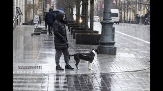 Paskutinę savaitės dieną saulės spindulių neišvysime dangų gaubs pilki debesys sulauksime lietaus [upl. by Haldis728]