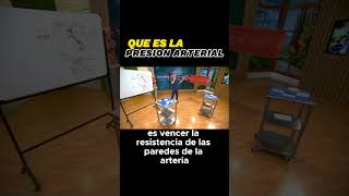 ¿Qué es REALMENTE la presión arterial Explicación SIMPLE [upl. by Nisse]