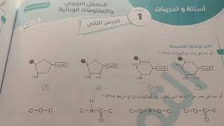 الجزء الأول من أسئلة الدرس الثاني  تركيب وتضاعف DNA من كتاب التميز ٢٠٢١ أأحمد فتحي [upl. by Notnirb952]