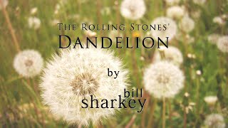 Dandelion  Rolling Stones The coverlive by Bill Sharkey [upl. by Macrae]