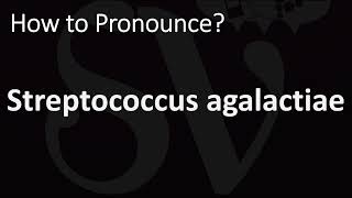 How to Pronounce Streptococcus agalactiae CORRECTLY [upl. by Braswell]