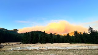 Wildland fire 🔥 across the road [upl. by Ahtaga]