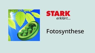 Fotosynthese – Bedeutung und Ablauf  STARK erklärt [upl. by Donnell]