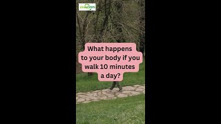 What happens to your body if you walk 10 minutes a day shorts [upl. by Aralc736]