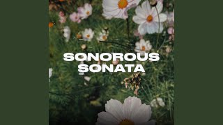 Sonorous Sonata [upl. by Eijneb]