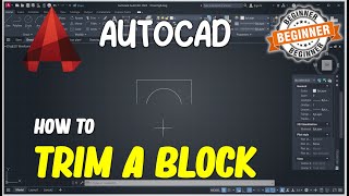 AutoCAD How To Trim A Block [upl. by Nerw]