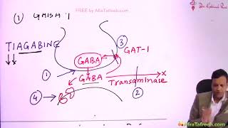 CNS3 Epilepsy Grg pharmacology [upl. by Einor]