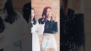 Rose ddu du ddu du song dance [upl. by Nelrac]