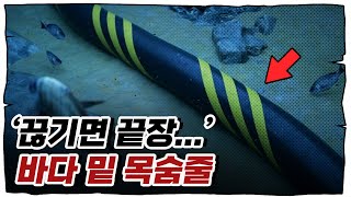 소리없이 시작된 해저케이블 전쟁 [upl. by Adnac]