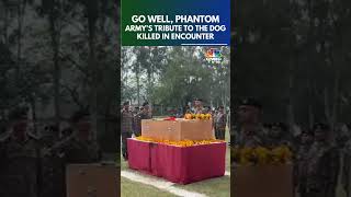 WreathLaying Ceremony Of Heroic ‘Phantom’ Killed In Akhnoor Encounter Held In Udhampur  N18S [upl. by Ojyram]