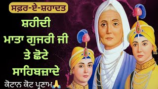 Shahaadat Chhote Sahibzaade Mata Gujri Ji Shaheedi Baba Fateh Singh Baba Zorawar Singh 🙏 [upl. by Thursby579]