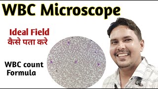 How to identify wbc field I wbc normal range [upl. by Caroline427]
