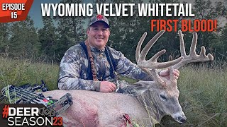 First Hunt Of 2023 On A Beautiful Wyoming Velvet Whitetail  Deer Season 23 [upl. by Pish642]