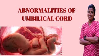 abnormalities of umbilical cord OBG nursingwhiteknight corps Umbilical cord abnormalities [upl. by Aisnetroh721]