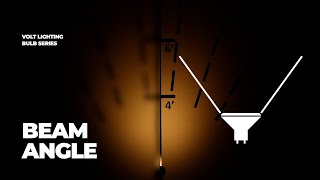 How To Choose The Perfect Beam Angle For Your Landscape Lighting  Bulb Series [upl. by Macmillan423]