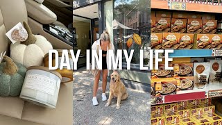 FALL VLOG trader joes haul homegoods decor pumpkin cold brew  more [upl. by Renruojos]