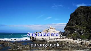 Asin Medley  Asin Karaoke Cover background White Rock Formation Ilocos [upl. by Reuben]