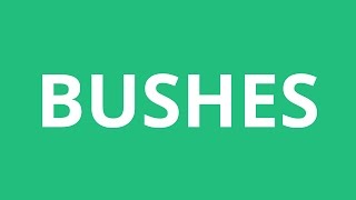 How To Pronounce Bushes  Pronunciation Academy [upl. by Ackerley]