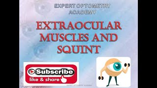 EXTRA OCULAR MUSCLES AND SQUINT MCQs  MCQs for Optometrist Ophthalmic Technician Ophthalmologist [upl. by Nakada]