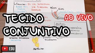 Histologia Tecido Conjuntivo  AO VIVO [upl. by Eaner]