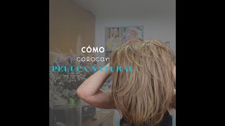 ¿Cómo colocar tu Peluca de Pelo Natural [upl. by Ttevy]