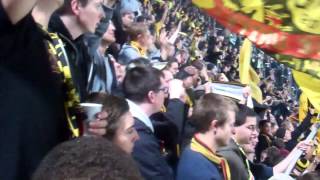 Three little birds  Dortmund Fans in Amsterdam [upl. by Sewellyn403]