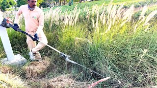 The Modern Way Of Trimming Unwanted Bushes  With Chainsaw [upl. by Yatnuahs]