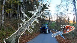 Farmers POV  Clearing Dangerous Hung Trees  New Holland T475 Husqvarna 353 [upl. by Loraine260]